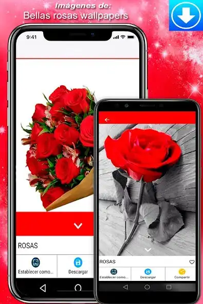 Play Rosas y Claveles para Compartir as an online game Rosas y Claveles para Compartir with UptoPlay