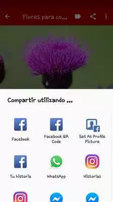 Play Rosas y flores hermosas