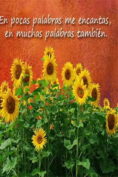 Play Rosas y Flores para Enamorar as an online game Rosas y Flores para Enamorar with UptoPlay