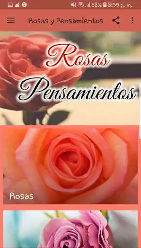 Play Rosas y Pensamientos  and enjoy Rosas y Pensamientos with UptoPlay