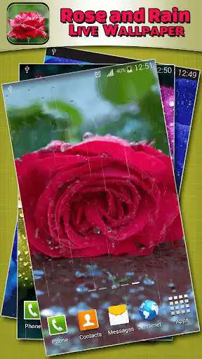 Play Rose and Rain Live Wallpaper  and enjoy Rose and Rain Live Wallpaper with UptoPlay