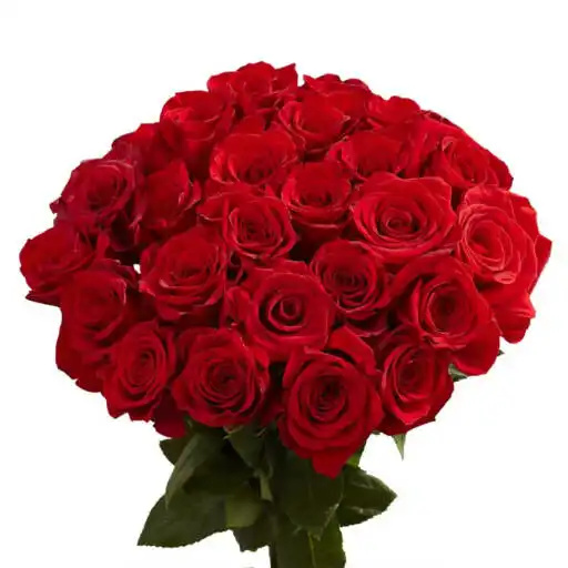 Play rose bouquets APK Play rose bouquets APK