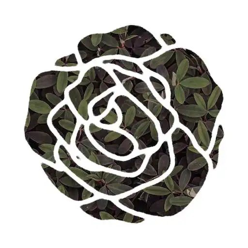 Play Rose Buddha Meditations APK