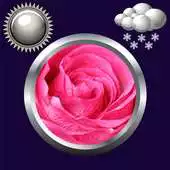 Free play online Rose Clock And Weather Widget APK Free play online Rose Clock And Weather Widget APK