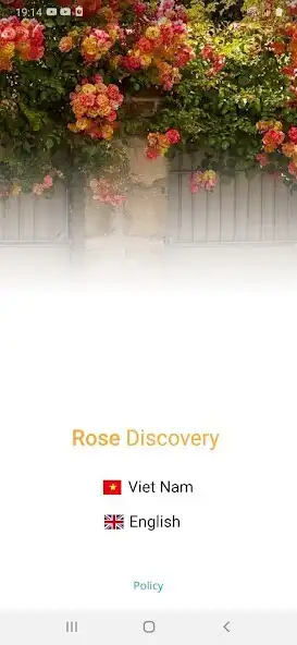 Play Rose Discovery  and enjoy Rose Discovery with UptoPlay