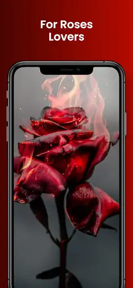 Play Rose Floral Wallpapers  and enjoy Rose Floral Wallpapers with UptoPlay