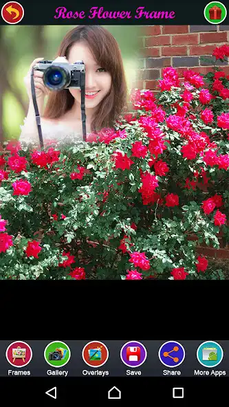 Play Rose Flower Frame