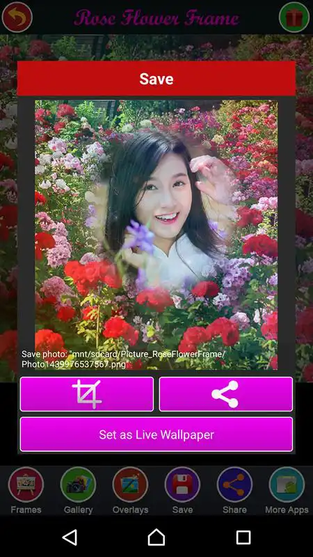 Play Rose Flower Frame