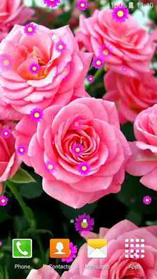 Play Rose Flower Live Wallpapers