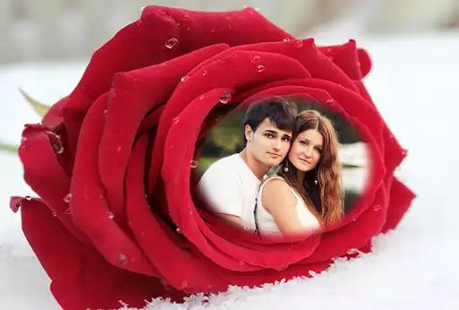 Play Rose Flower Photo Frames 2016  and enjoy Rose Flower Photo Frames 2016 with UptoPlay