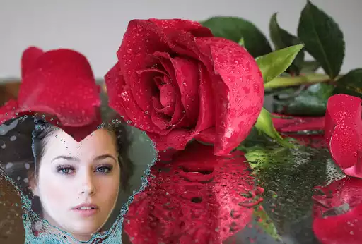 Play Rose Flower Photo Frames 2016 as an online game Rose Flower Photo Frames 2016 with UptoPlay