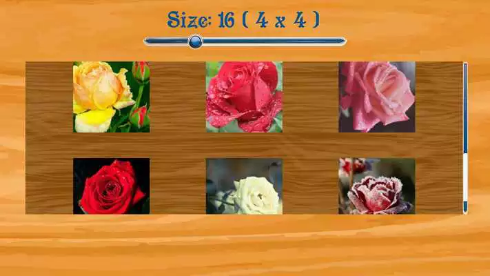 Play Rose Flowers Jigsaw Puzzle