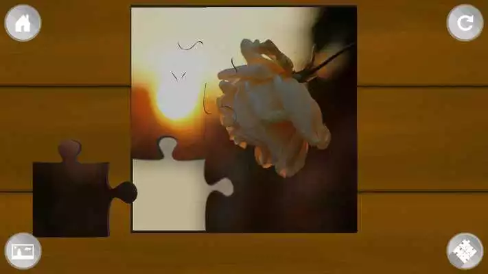 Play Rose Flowers Jigsaw Puzzle