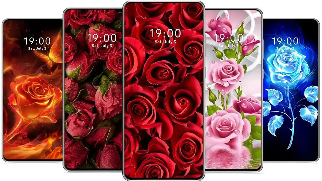 Play Rose Flower Wallpaper HD  and enjoy Rose Flower Wallpaper HD with UptoPlay