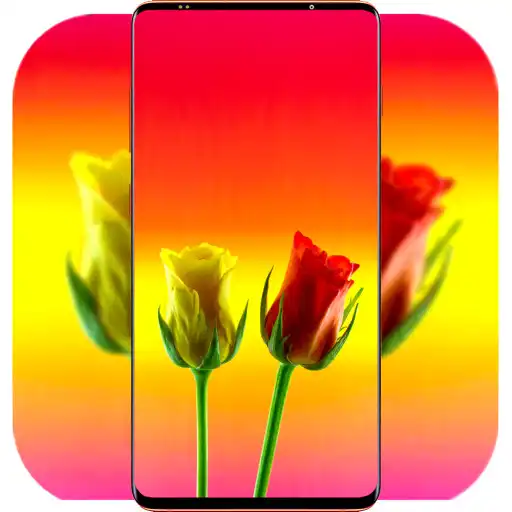 Play Rose Flower Wallpaper APK