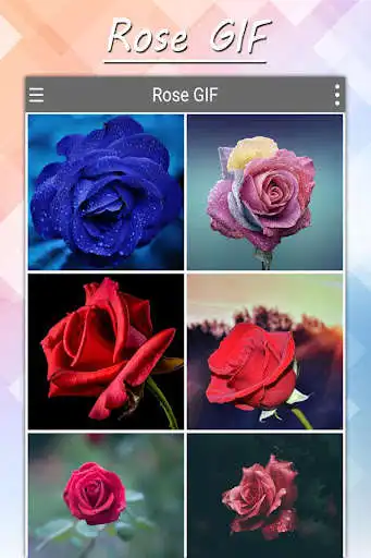 Play Rose GIF 2021 as an online game Rose GIF 2021 with UptoPlay