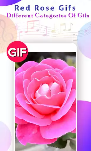 Play Rose GIF
