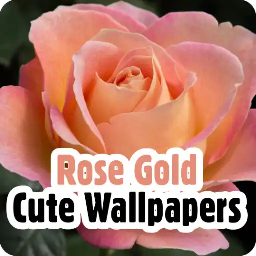 Play rose gold cute wallpapers APK