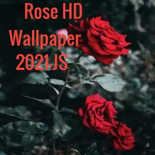 Play Rose HD Wallpaper 2021-JS APK