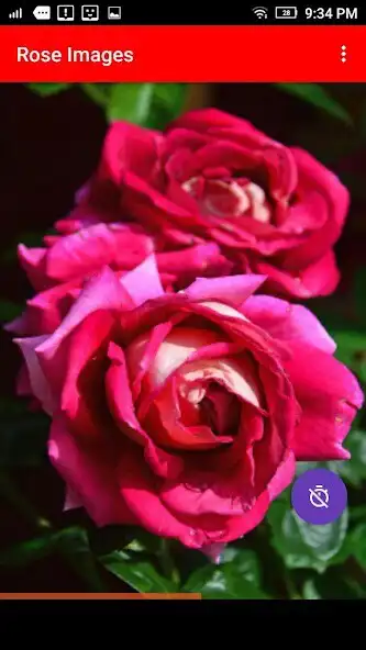 Play rose images as an online game rose images with UptoPlay