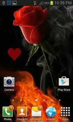 Play Rose In Fire LWP Play Rose In Fire LWP