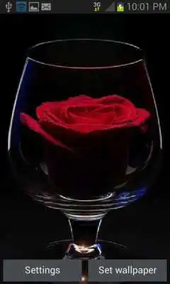 Play Rose In Glass LWP
