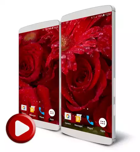 Play Rose Live Wallpaper