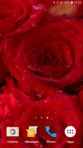 Play Rose Live Wallpaper