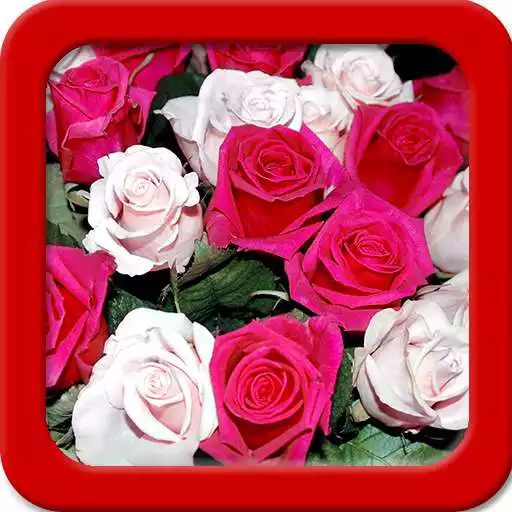 Free play online Rose Live Wallpapers APK Free play online Rose Live Wallpapers APK