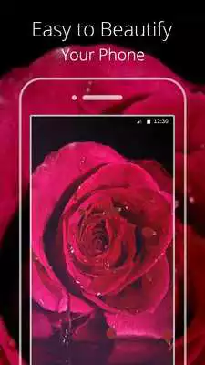 Play Rose Love Live wallpaper