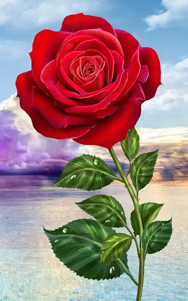 Play Rose. Magic Touch Flowers  and enjoy Rose. Magic Touch Flowers with UptoPlay