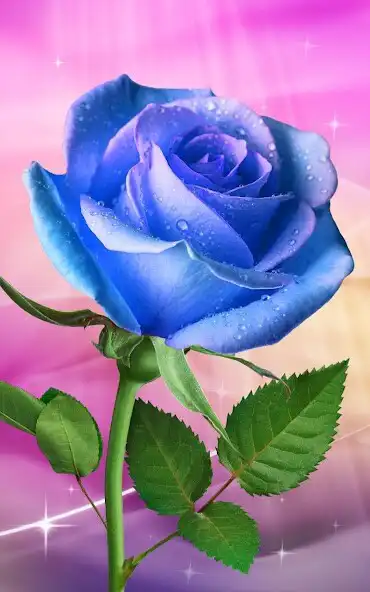 Play Rose. Magic Touch Flowers as an online game Rose. Magic Touch Flowers with UptoPlay