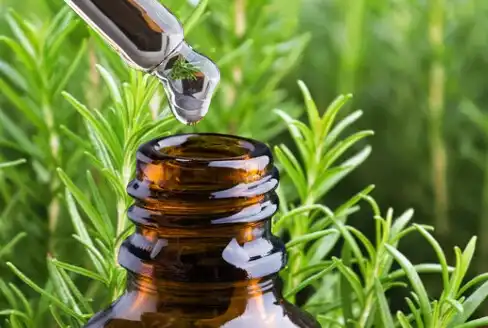 Play Rosemary Oil for Hair growth  and enjoy Rosemary Oil for Hair growth with UptoPlay