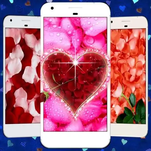 Play Rose Petals Live Wallpaper APK Play Rose Petals Live Wallpaper APK