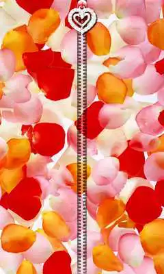 Play Rose Petals Zipper UnLock