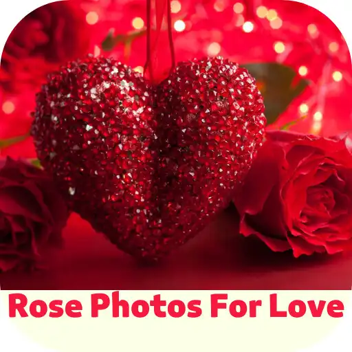 Play rose photos for love APK