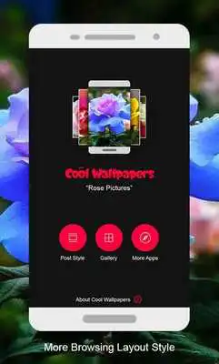 Play Rose Pictures  and enjoy Rose Pictures with UptoPlay