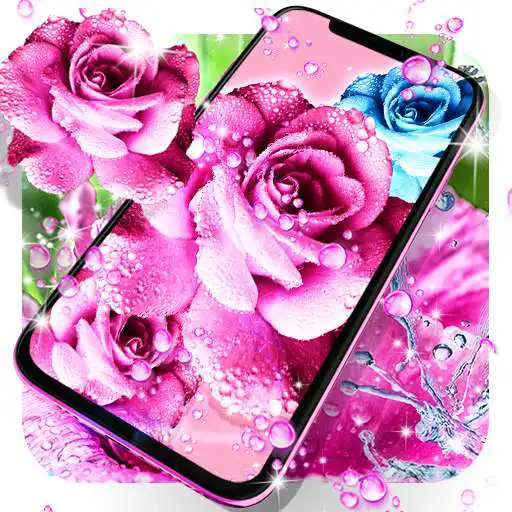 Play Rose pink water drop wallpaper APK