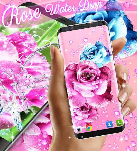 Play Rose pink water drop wallpaper  and enjoy Rose pink water drop wallpaper with UptoPlay