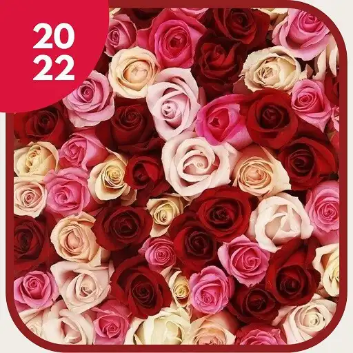 Play Roses and Flowers 2022 APK Play Roses and Flowers 2022 APK