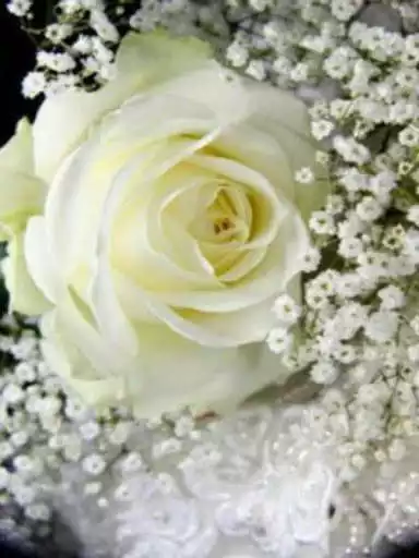 Play roses and flowers as an online game roses and flowers with UptoPlay