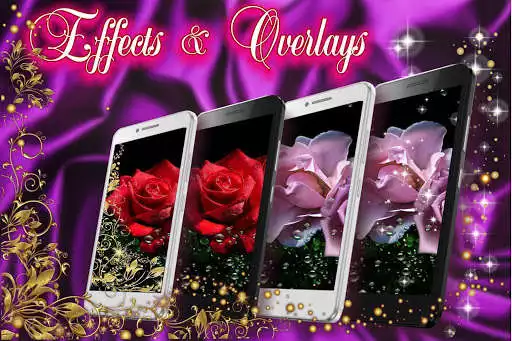 Play Roses Diamond Dew  and enjoy Roses Diamond Dew with UptoPlay