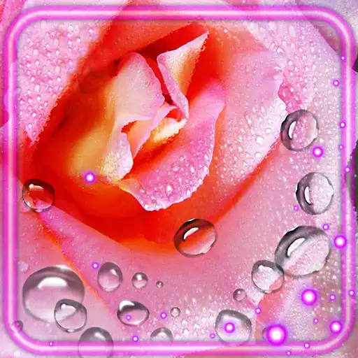 Play Roses Drops of Dew APK Play Roses Drops of Dew APK
