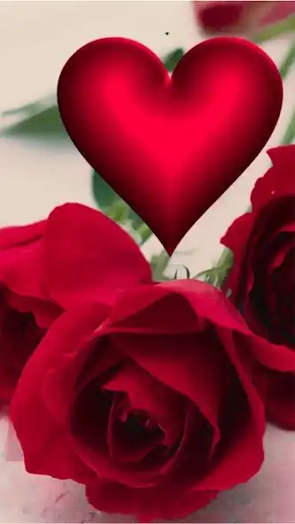 Play Roses  flowers live wallpaper  and enjoy Roses  flowers live wallpaper with UptoPlay