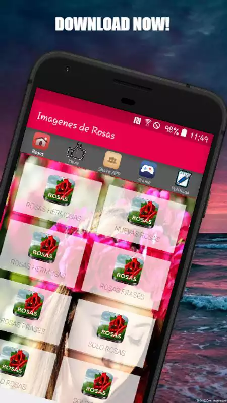 Play Roses Images,Love Rose flower Images,Rose Red