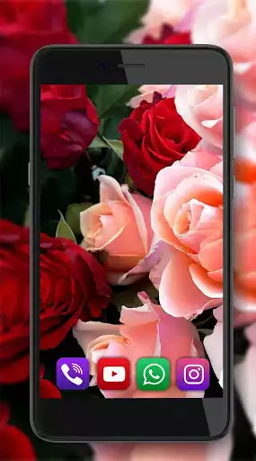 Play Roses Live Wallpaper  and enjoy Roses Live Wallpaper with UptoPlay