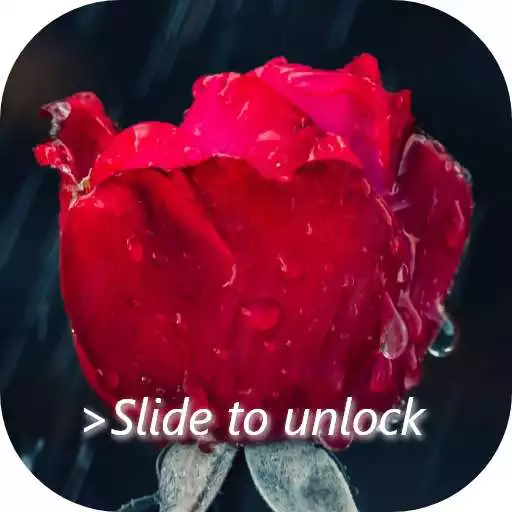 Free play online Roses Lock Screen APK Free play online Roses Lock Screen APK