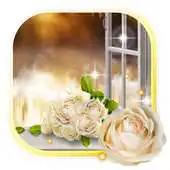 Free play online Roses Morning Live Wallpaper APK