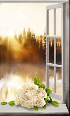 Play Roses Morning Live Wallpaper