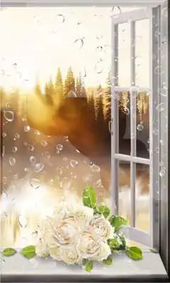 Play Roses Morning Live Wallpaper